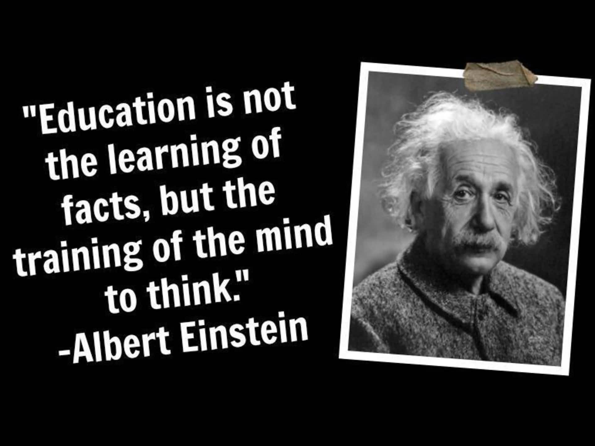 Quotes From Albert Einstein Meme Image 16
