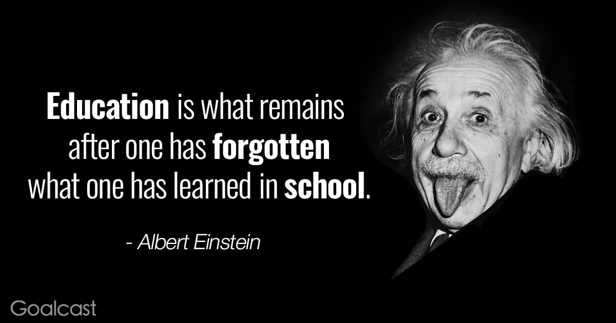Quotes From Albert Einstein Meme Image 18