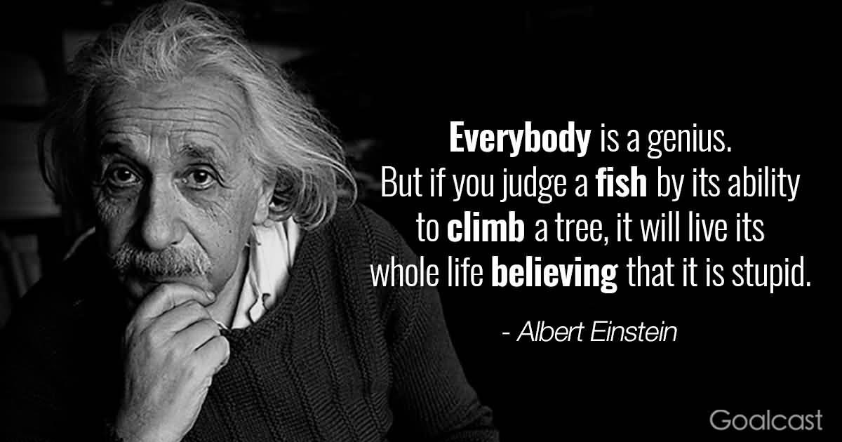 Quotes From Albert Einstein Meme Image 20