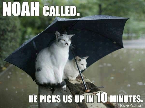 Rain Rain Go Away Quotes Meme Image 10