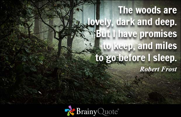 Robert Frost Quotes Meme Image 13