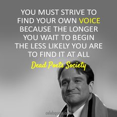 Robin Williams Quotes About Life Meme Image 01