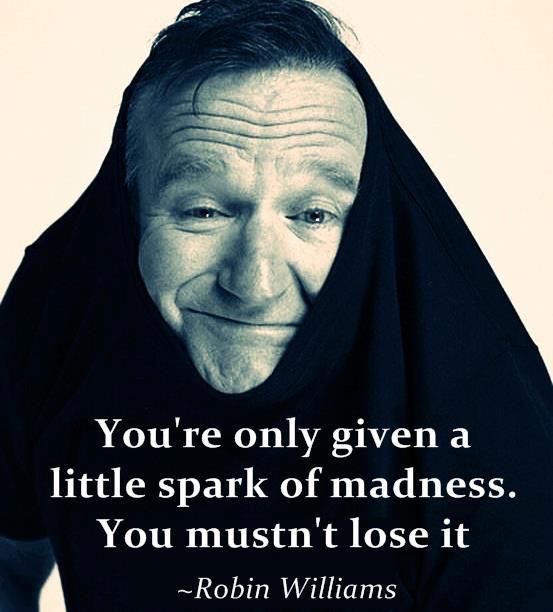 Robin Williams Quotes About Life Meme Image 04