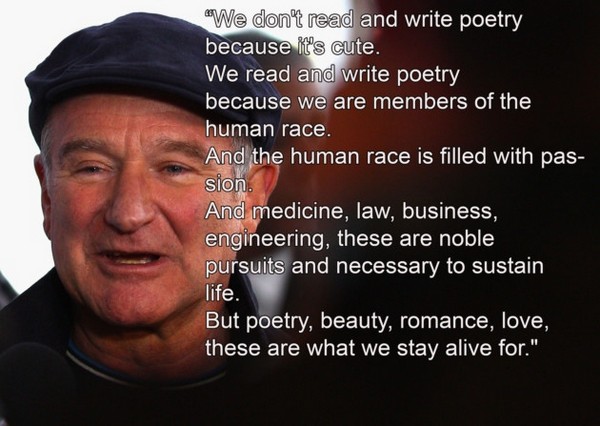 Robin Williams Quotes About Life Meme Image 08