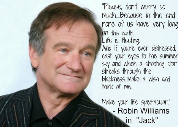 Robin Williams Quotes About Life Meme Image 09
