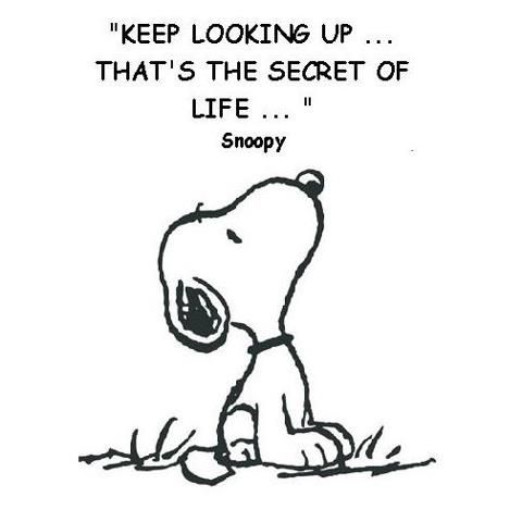 Snoopy Quotes About Life Meme Image 03