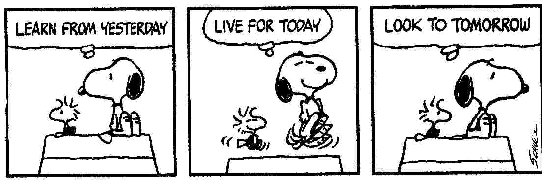 Snoopy Quotes About Life Meme Image 10