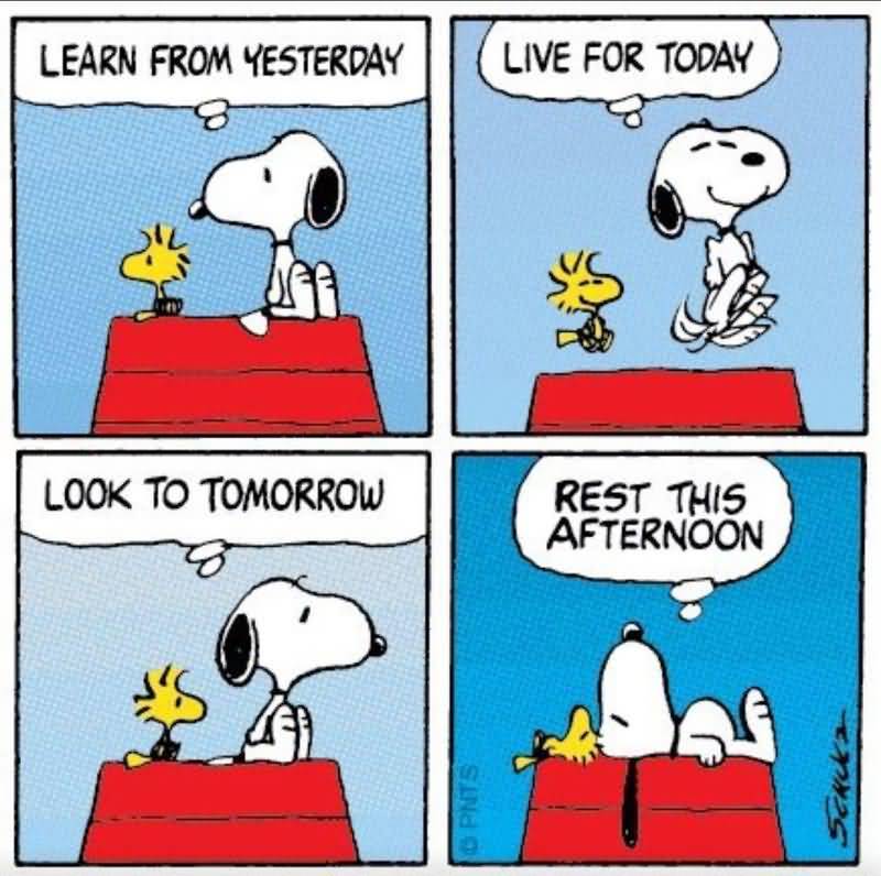 Snoopy Quotes About Life Meme Image 17