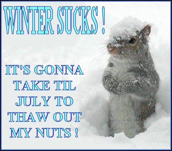Snow Day Quotes Meme Image 13