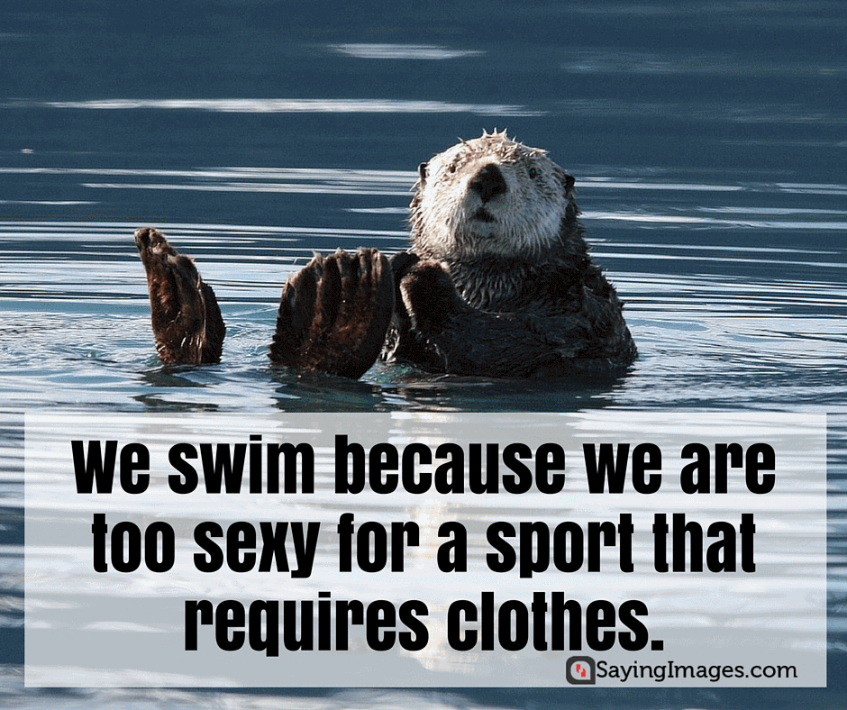 Swim Quotes Funny Meme Image 19