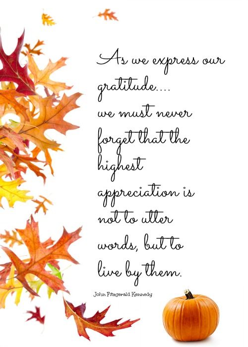 Thanksgiving Quotes Images Meme Image 06