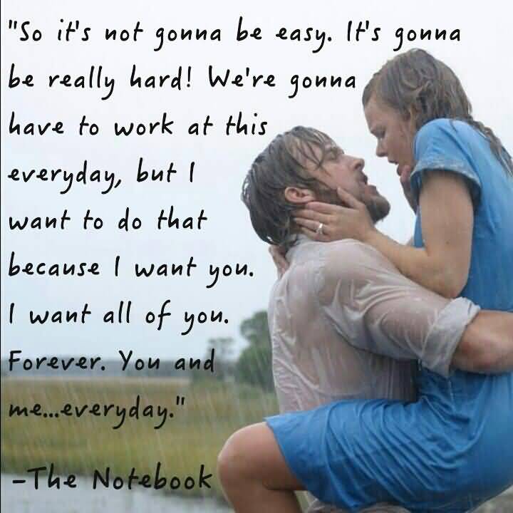 The Notebook Quotes Meme Image 16
