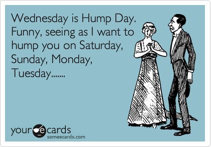Wednesday Is Hump Day. Funny Seeing As I Want To Hump You On Saturday Sunday Monday Tuesday....