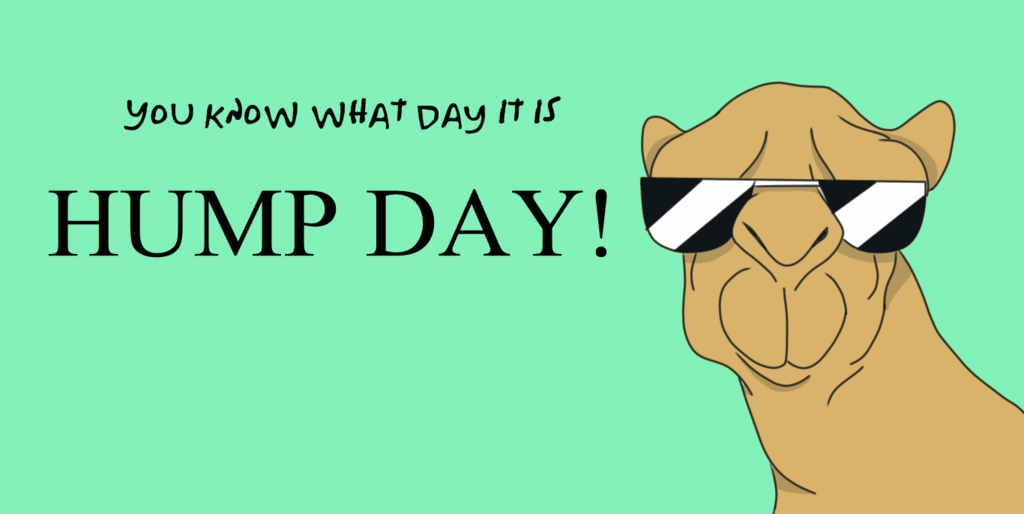 You Know What Day It Is Hump Day!