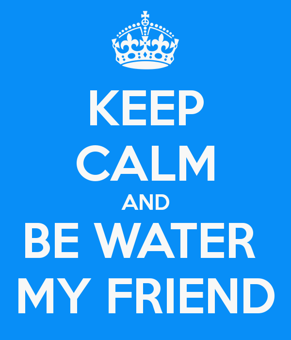 Be Water My Friend Quotes 11