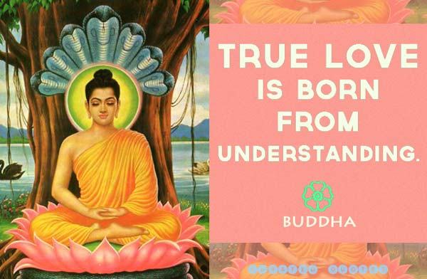 Buddha Love Quotes 01