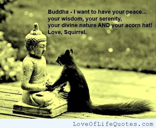 Buddha Love Quotes 15