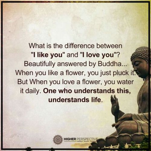 Buddha Love Quotes 20