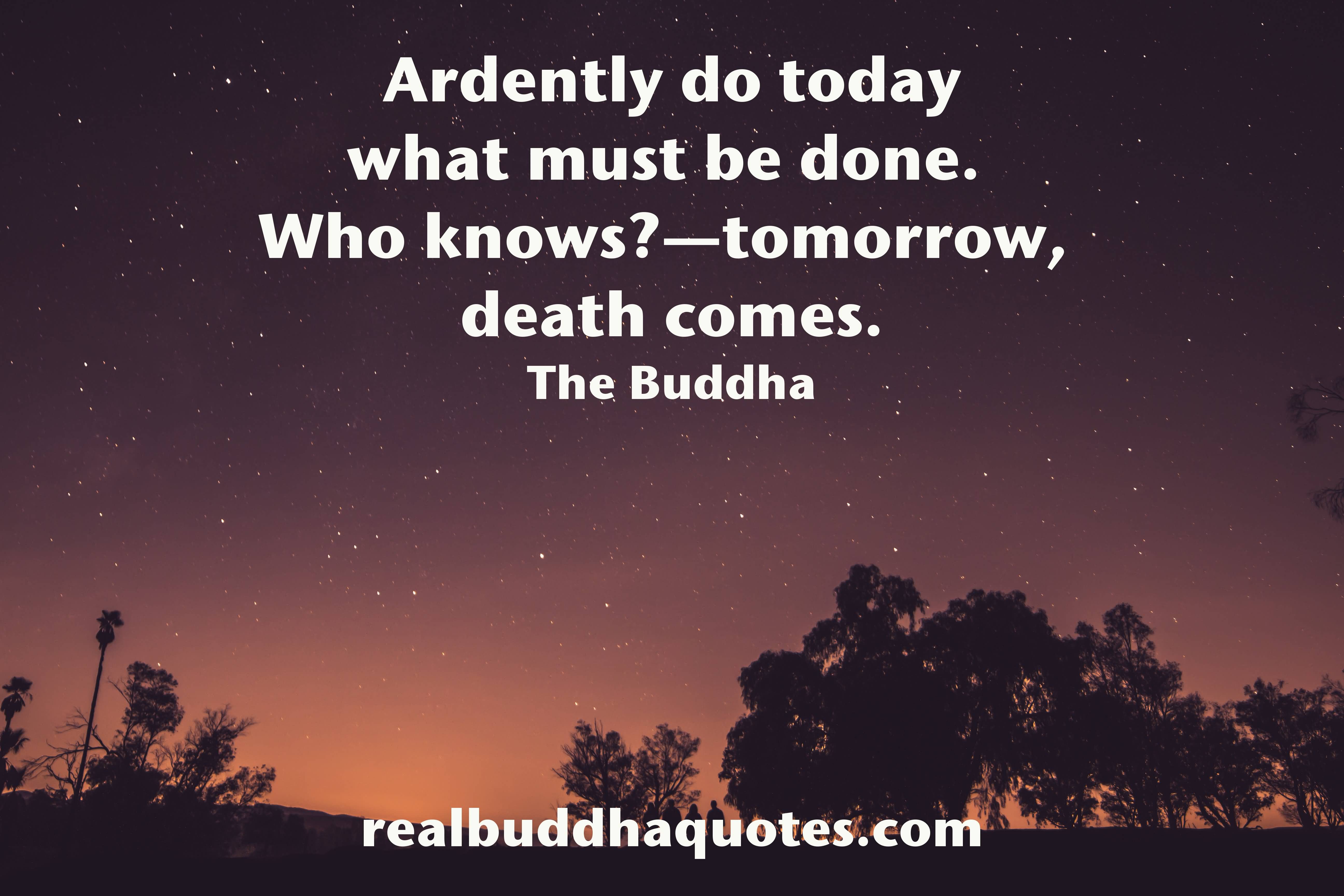Buddha Quotes On Death And Life 05