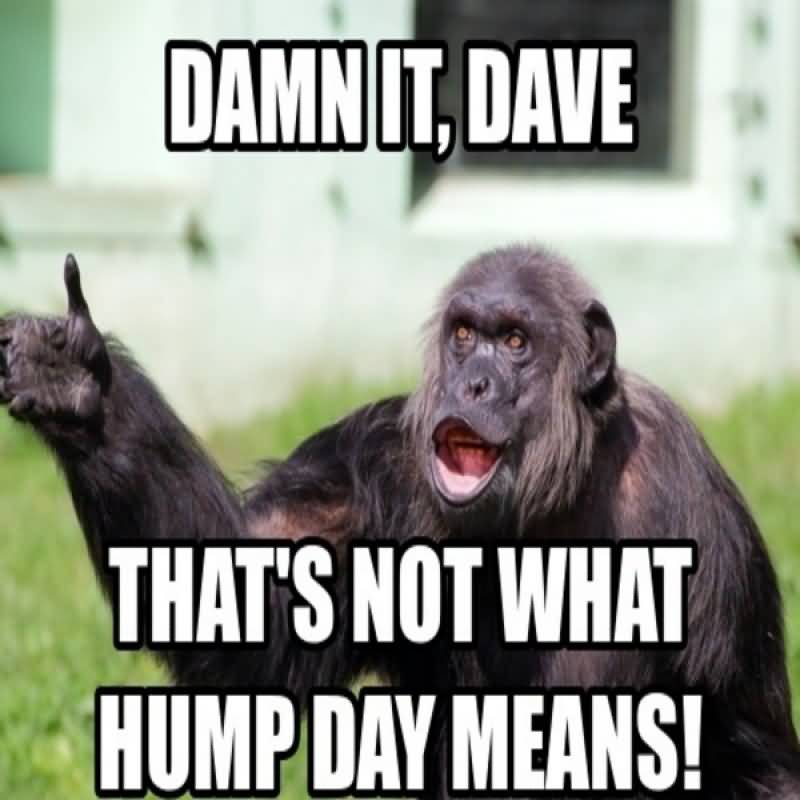 Damn It Dave That's Not What Hump Day Means!