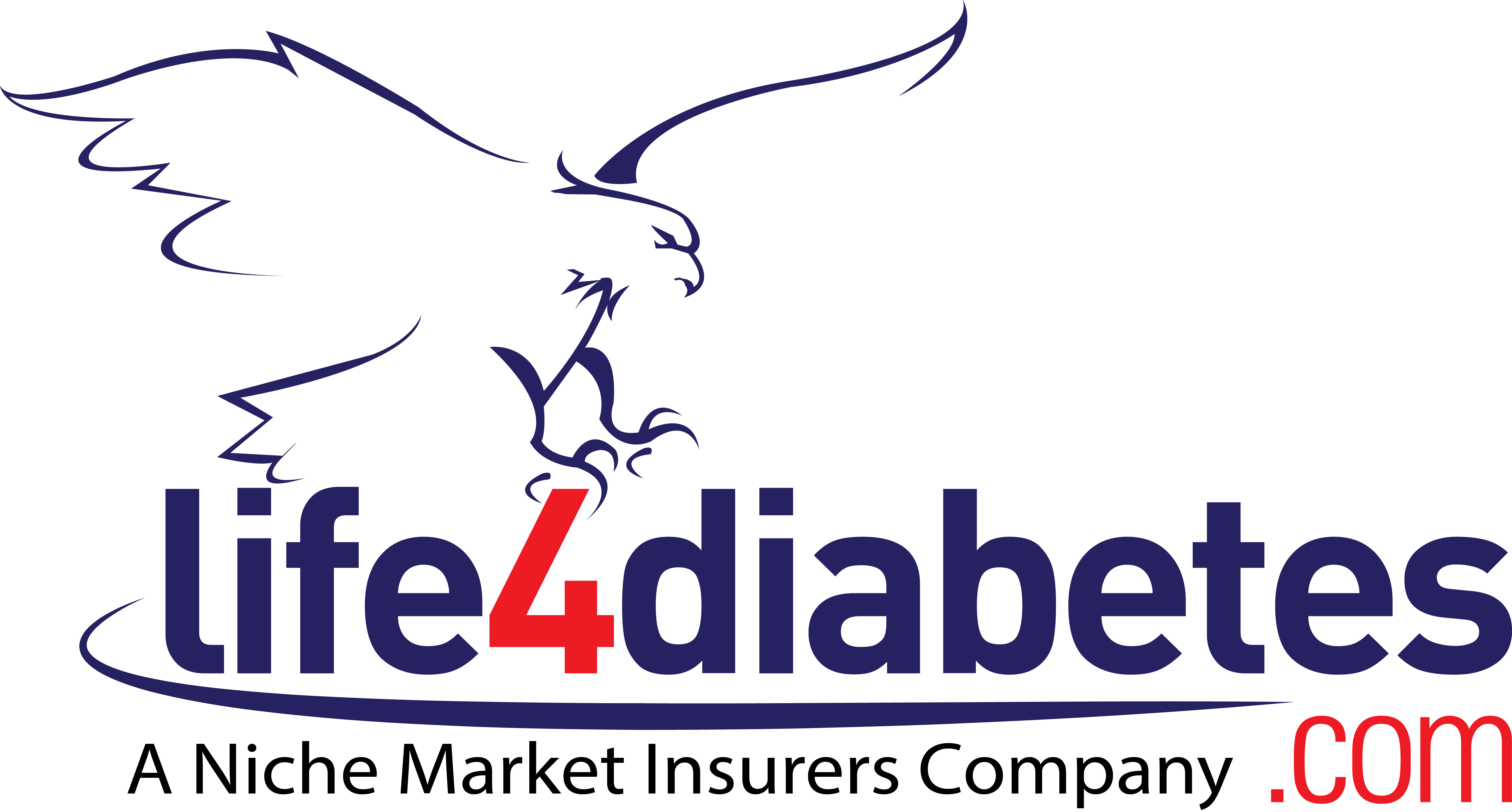 Diabetes Life Insurance Quotes 13