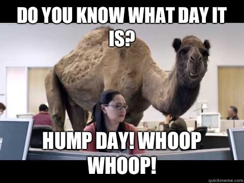 Do You Know What Day It Is Hump Day! Whoop Whoop!
