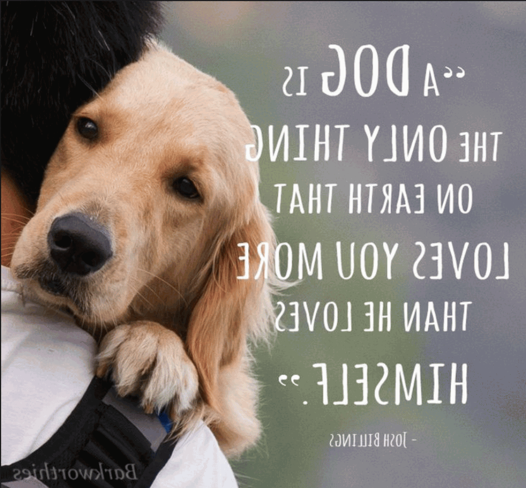 Dog Love Quotes 10