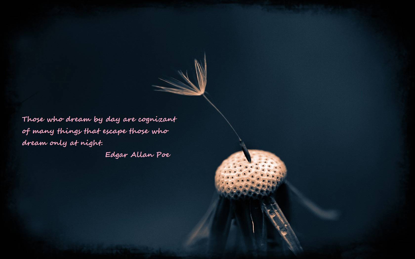 20 Edgar Allan Poe Life Quotes and Sayings Collection