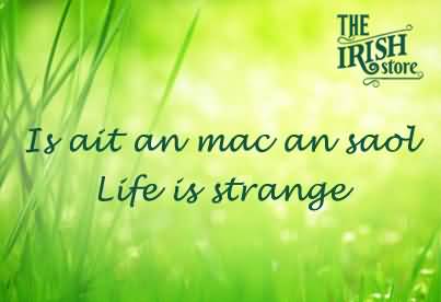 Famous Irish Quotes About Life 08