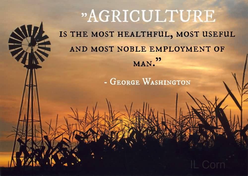 Farm Life Quotes 12