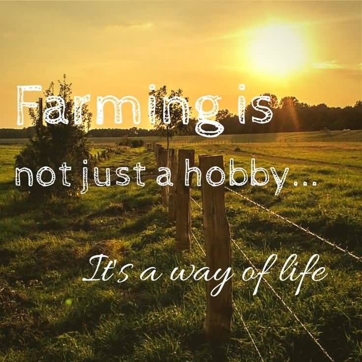 Farm Life Quotes 13