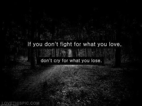 Fight For What You Love Quotes 05