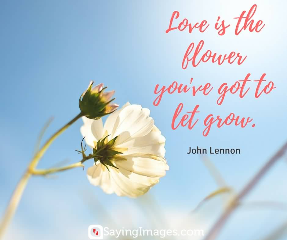 Flower And Love Quotes 12