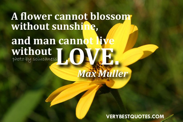 Flower And Love Quotes 15