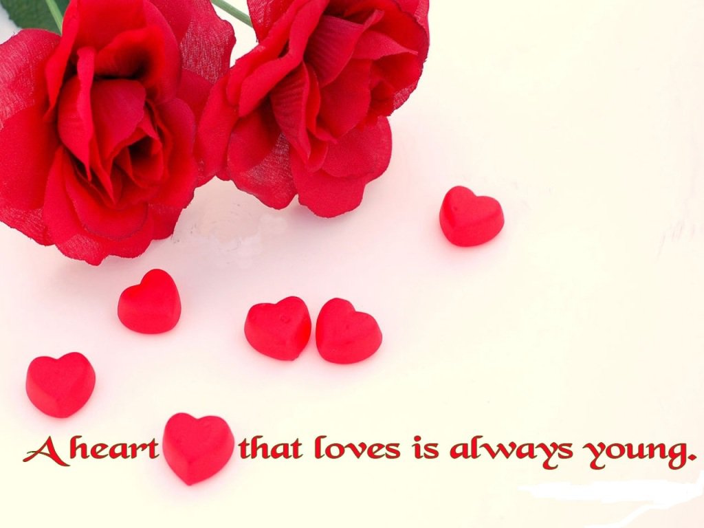 Flower And Love Quotes 17