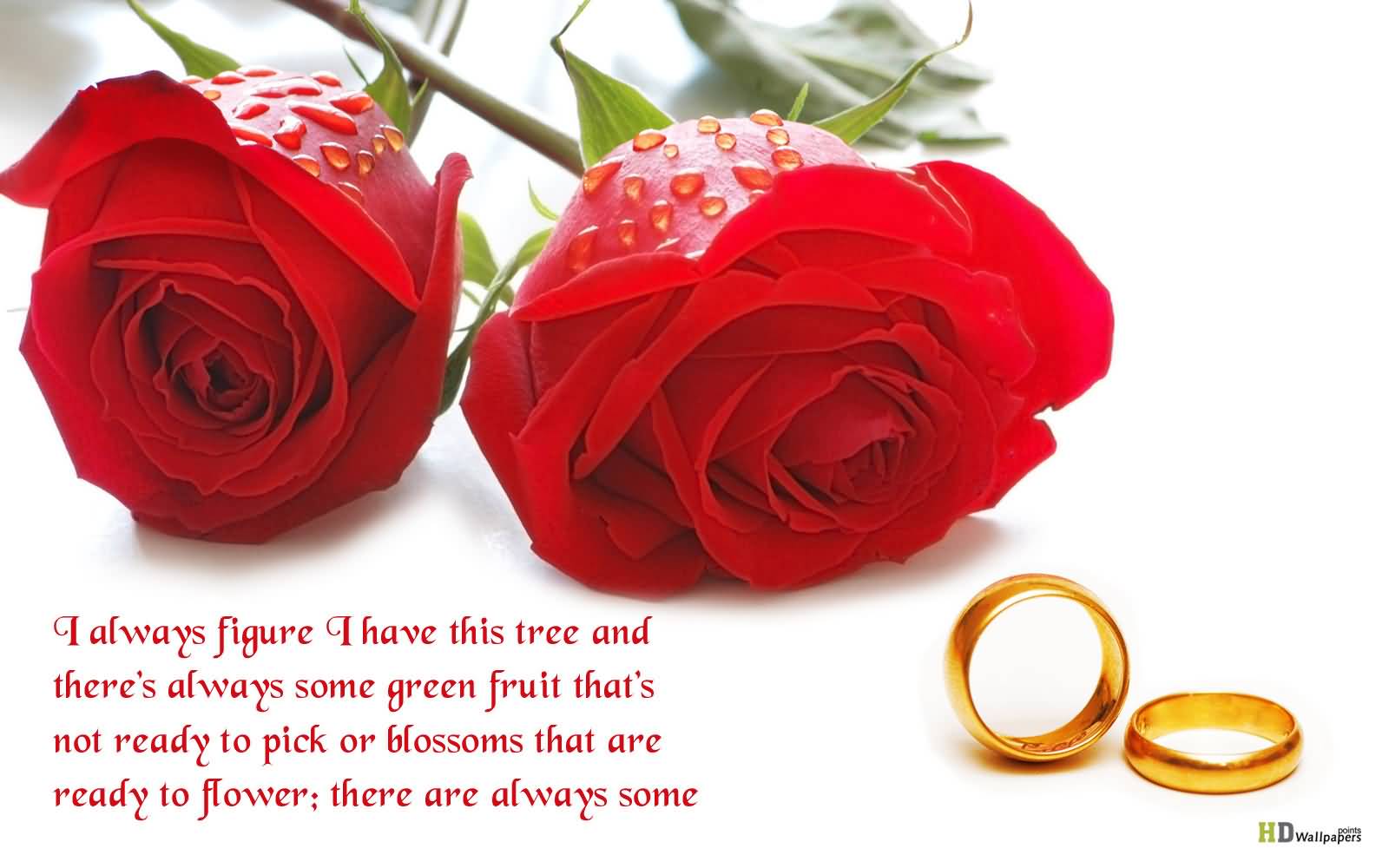 Flowers Love Quotes 08