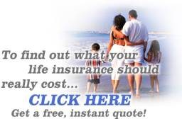 Free Term Life Insurance Quotes Instant 06
