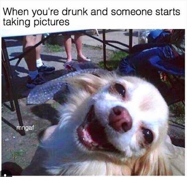 Funny Alcohol memes photo