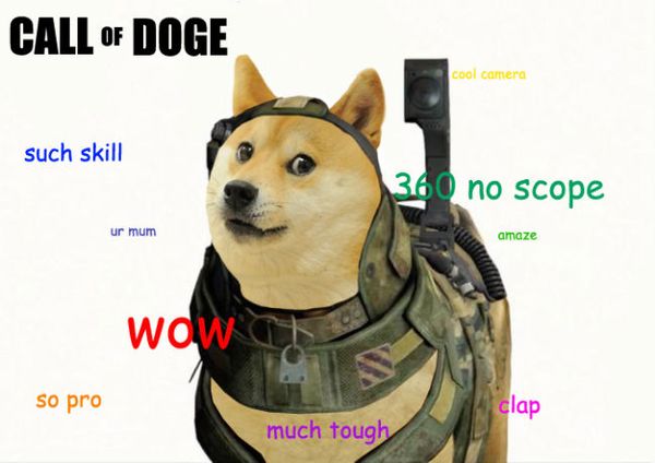 Funny Doge Jokes Picture