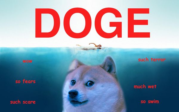 Funny Doge Pictures Memes