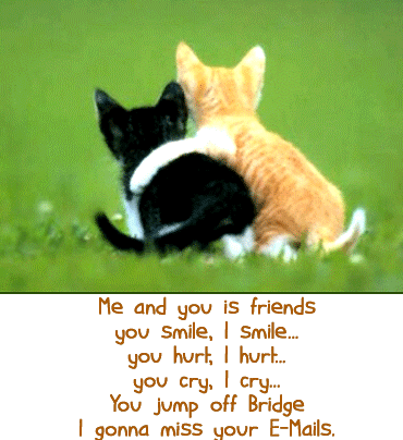 Funny Quotes About Friendship And Memories 03