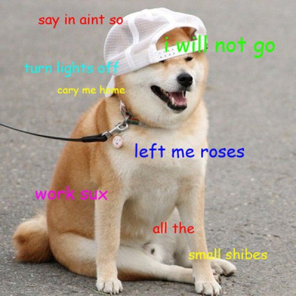50 Top Doge Meme Graphics, Images & Funny Pictures