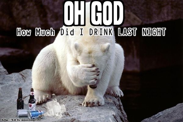Funny alcohol memes image