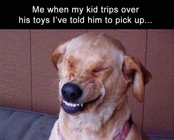Funny dog laughing meme image