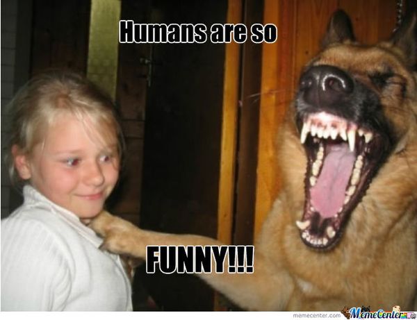 dog laughing meme