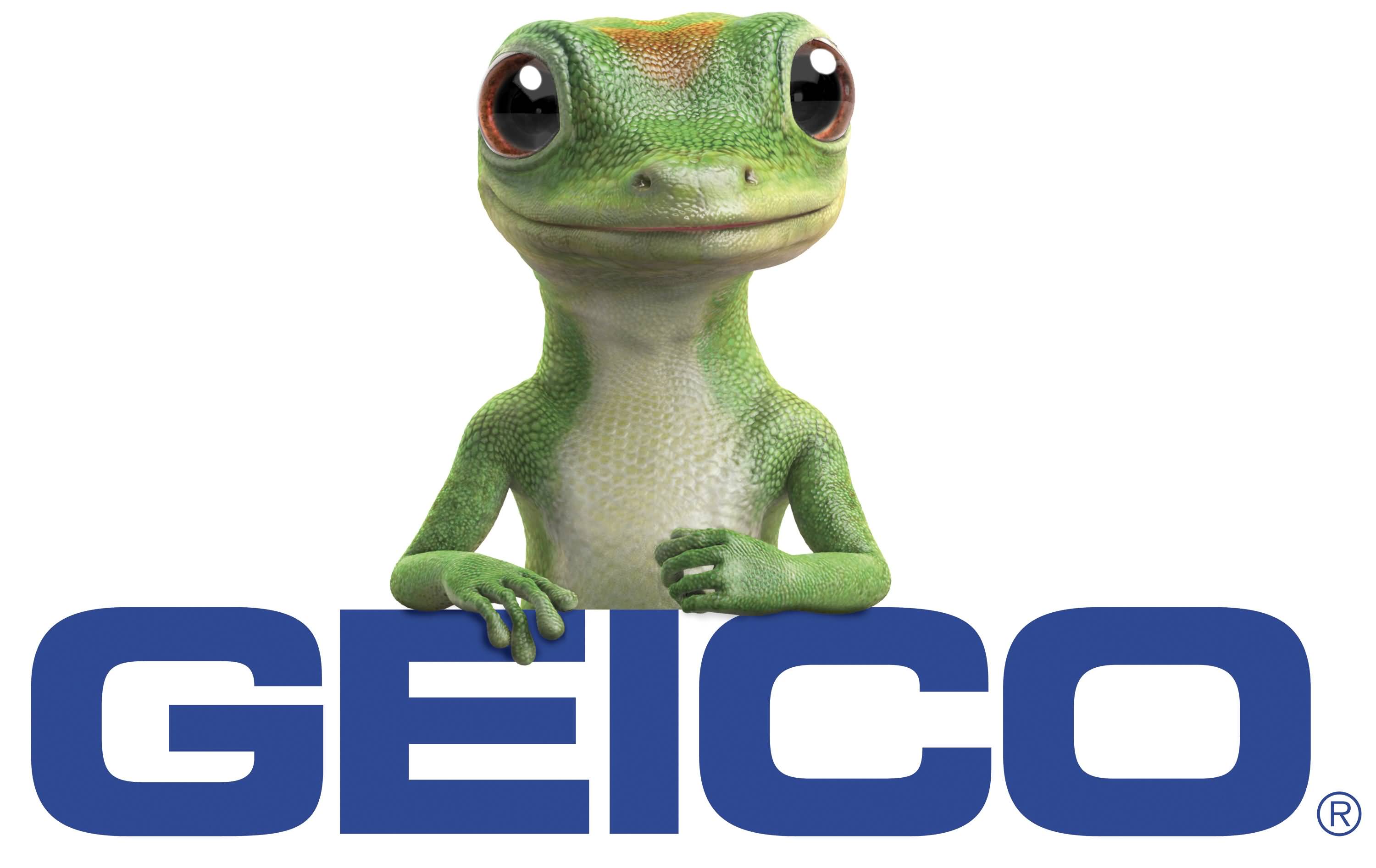 20 Geico Life Quotes Sayings Images & Pictures