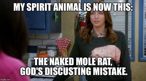 Gina brooklyn 99 meme pictures