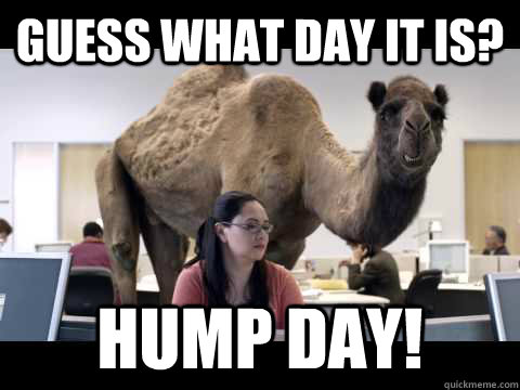 Guess What Day It Is Hump Day!