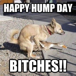 Happy Hump Day Bitches!!