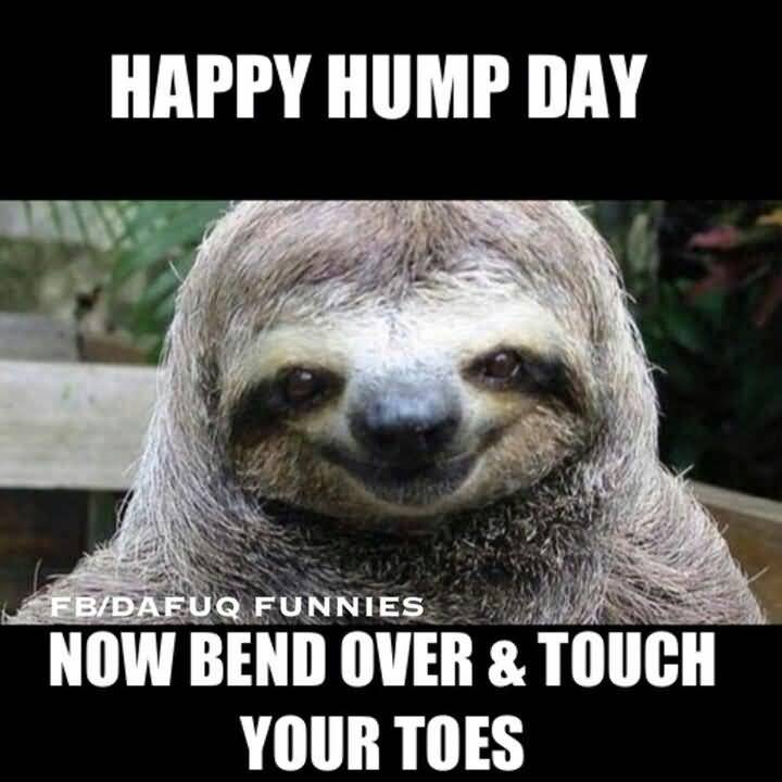 Happy Hump Day Now Bend Over & Touch Your Toes